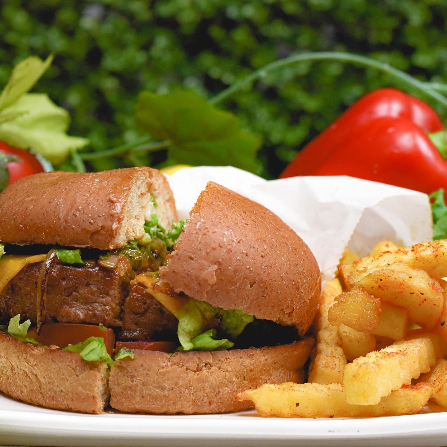 Sunshine's vegan burger and fries in Houston